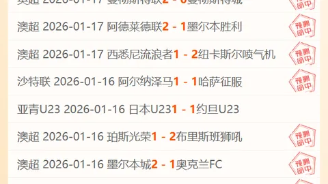 库洛辟谣：刘慈欣未参与鸣潮大纲撰写，合作传闻不实